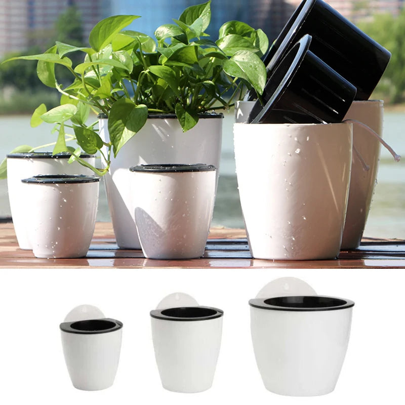 SOLEDI automatic water-absorbing flower pot Hydroponics wall-mounted plastic home Wall-mounted Potted plant bonsai mini garden