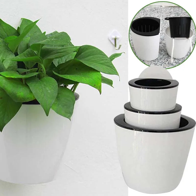 SOLEDI automatic water-absorbing flower pot Hydroponics wall-mounted plastic home Wall-mounted Potted plant bonsai mini garden