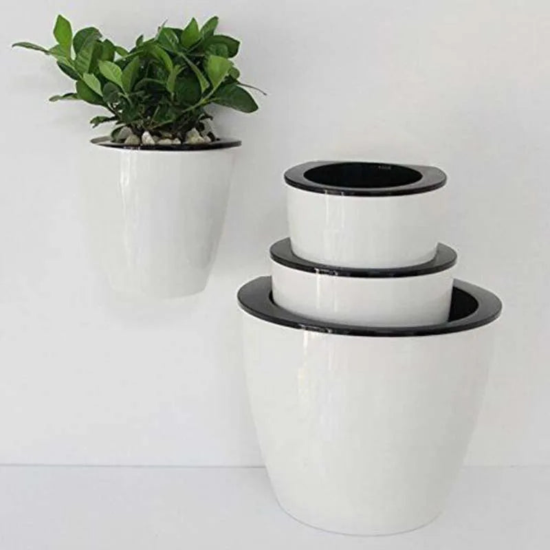 SOLEDI automatic water-absorbing flower pot Hydroponics wall-mounted plastic home Wall-mounted Potted plant bonsai mini garden