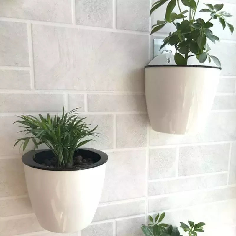 SOLEDI automatic water-absorbing flower pot Hydroponics wall-mounted plastic home Wall-mounted Potted plant bonsai mini garden